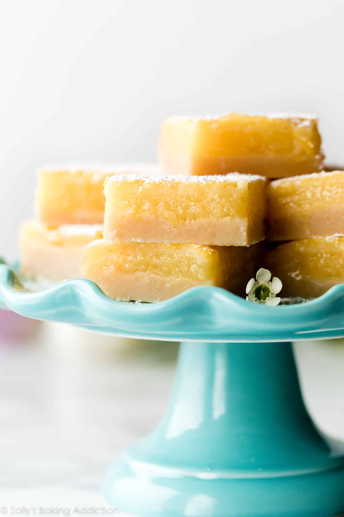 Easy Shower Desserts: Why Lemon Bars and Brownies Reign Supreme